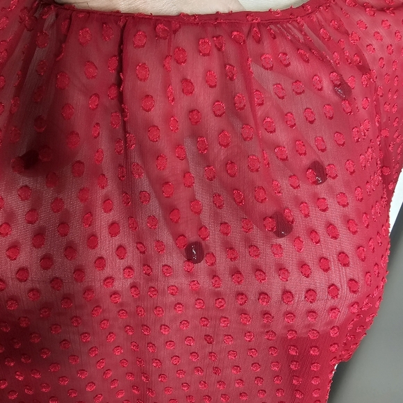 LOFT Red Sheer Swiss Dot Long Sleeve Blouse Size L - Picture 3 of 11